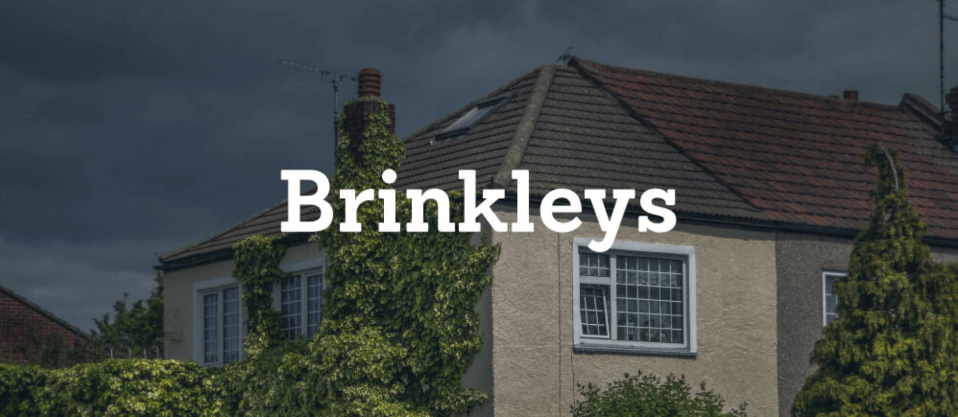 Brinkleys Case Study